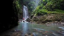 3-in-1 Monteverde Cloud Forest Waterfalls, Wild Trekking and Horseback Riding