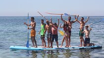 Mega Paddle - Stand Up Paddle Board Private Group Experience