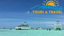 Saona Island Full-Day Tour from Punta Cana