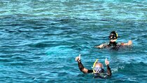 Marsa Mubarak Snorkeling Sea Trip, Lunch & Transfer :Marsa Alam