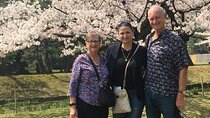 Tokyo Private Cherry Blossom Tour with a Local – Picnic Included