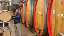 Full day Barolo&Barbaresco Wine Tour from Torino with a local winemaker