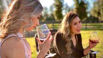 Small-Group Wine Tasting Tour of Santa Barbara Wine Country