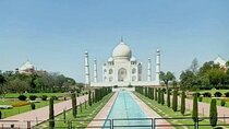 Golden Triangle Tour from Delhi with Bharat Pur Bird Sanctuary 