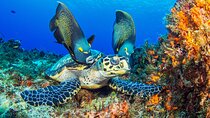 PADI Discover Scuba Diving Program in the Riviera Maya