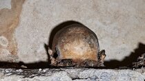 The Mystery of Naples Saga: The Skull with ears