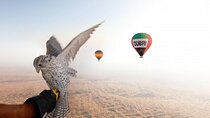  Enjoy Views Of Dubai Beautiful Desert By Hot Air Balloon From Dubai & Falcon 