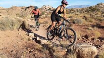 E-Bike Private Half-Day Dead Horse Point Mountain Biking Tour