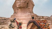 Cairo Layover Tour to Pyramids & Museum