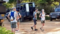 Sri Lanka 14 Days Sightseeing Tour - Private Tour - Customize