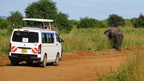 3 Days Maasai Mara Guided Safari from Nairobi