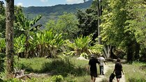 Taino Valley Tropical Park Puerto Plata Tubagua