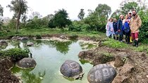 The Galapagos Giant Tortoise Experience + Los Gemelos | Private