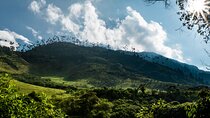 Full Day Climbing The Cocora Valley with Lunch