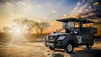 Kruger National Park Private Guided Tour