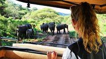 8-Day Tanzania Private Safari Tour with Airport Pickup