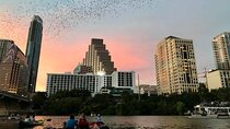 Congress Avenue Bat Bridge Kayak Tour in Austin
