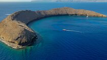 Molokini Crater and Turtle Town Snorkeling From Kihei