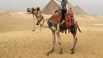 4 Hours Private Tour Giza Pyramids ,Sphinx With Lunch,Camel Ride