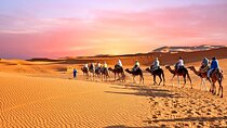 Private 2 Days Tour to Zagora Desert, Camel Treks in Tinfou Dunes from Marrakech