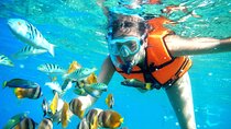 Half-Day Puerto Morelos Snorkeling Experience with Lunch