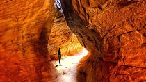 Full-Day Private Slot Canyoneering (From Moab)