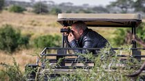 9 Days Migration Safari Tanzania Budget 