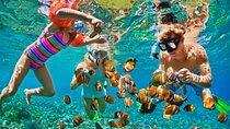 Nizuc Reef Snorkel Experience