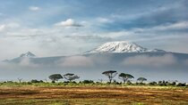 Private Kilimanjaro Day Trip from Moshi.