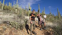 Amazing 2-Hour Guided Hiking Adventure in Phoenix, Arizona
