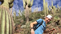 Incredible Hidden Valley Guided Hike in Phoenix, Arizona