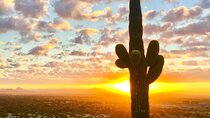 Stunning Sunset or Sunrise Guided Hiking Adventure in Phoenix