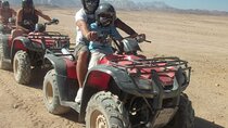 Safari quad, jeep, camel ride, show and dinner Hurghada