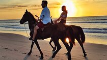 Horseback Riding Tour through the Beaches of Cartagena de Indias