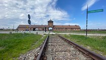 Auschwitz Birkenau and Salt Mine Full Day Guided Tour from Krakow hotel pick up