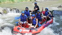 Bali Swing and Ayung River Rafting, Ubud