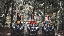 Ubud ATV Quad Bike and Bali Jungle Swing, Ubud 