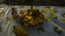 Discovery Tour of Sorrento Lemon in Massa Lubrense