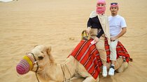 Morning Camel Safari Tour with Breakfast