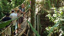An Eco-Walk through Green Bali