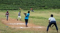 Sri Lankan Cricket Experience