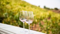 Temecula Wine Tour from Orange County