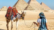 7 Nights Pyramids,Cairo,Luxor,Cruise,Balloon,Edfu,Aswan,Abu Simble By Plane