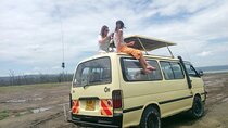 Private Day tour Amboseli national park in Tourist van