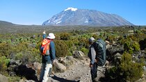8-Day Mount Kilimanjaro Hiking Tour from Arusha