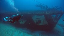2 Tanks Scuba Diving Wreck and Reef in Cancun for Certified Divers