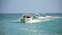 Speedboat Sailing with Snorkeling Experience in Punta Cana