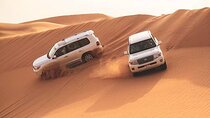 Red Dunes Dubai Desert Safari with Live show, Sandboarding & BBQ