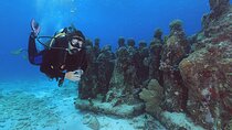 2 Tanks Dives Cancun Underwater Museum for Certified Divers