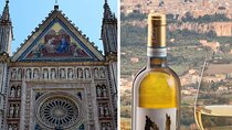 Rome to Orvieto: Basilica, Well, Underground tour + Wine Tasting 